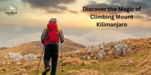 Mount Kilimanjaro Climbing Tours