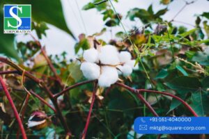 Yarn Sourcing India