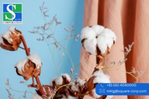 BCI Yarn