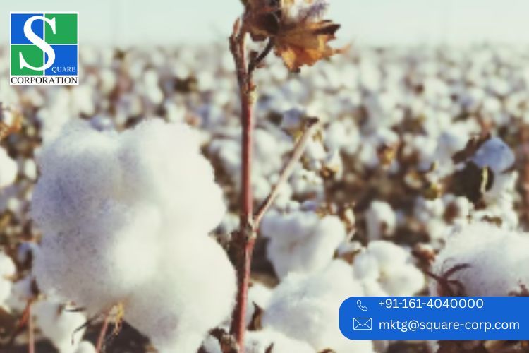 Top Spinning Mills in Punjab for Quality Yarn Production