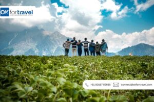 Tour companies India