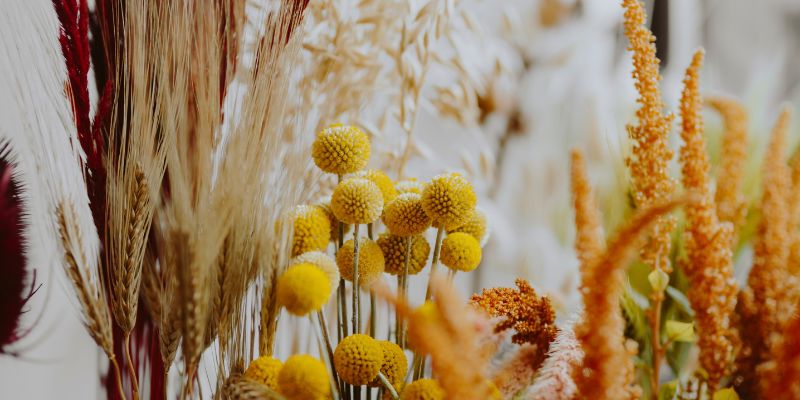 sola wood flower wholesale supplier