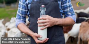 Fresh Milk & Dairy Products Online Delivery Made Easy