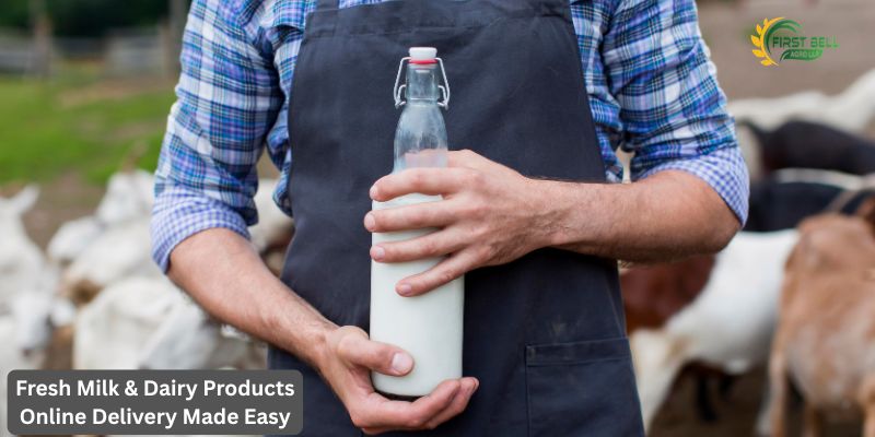 Fresh Milk & Dairy Products Online Delivery Made Easy