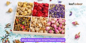 What Makes Indian Dried Flowers Unique