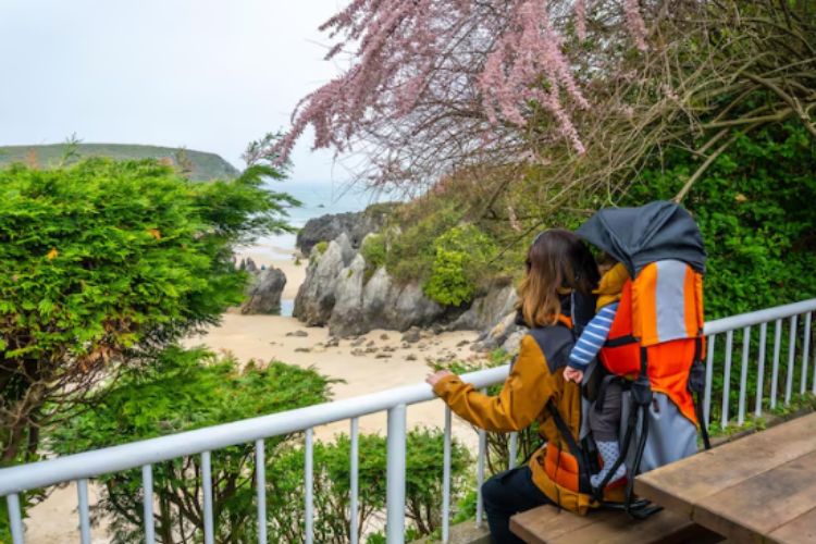 Andaman and Nicobar Islands Tour Package From Pune