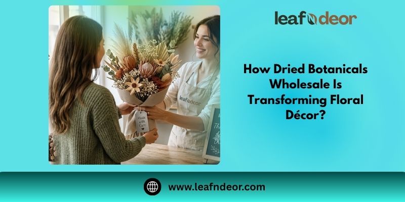 How Dried Botanicals Wholesale Is Transforming Floral Décor?